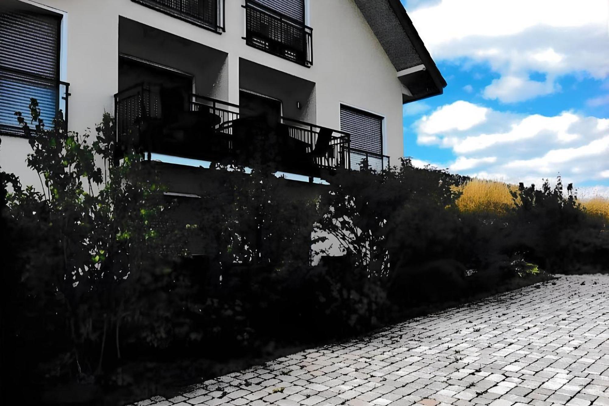 Ferienwohnung Blanco In Willingen Willingen  Eksteriør bilde